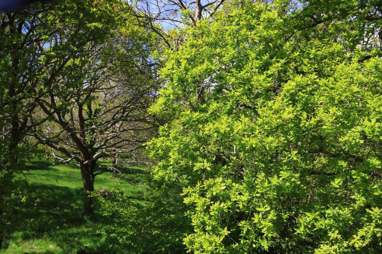 Aux Arbres Chanteurs Ploulech Exterior foto