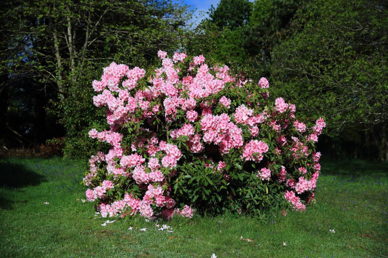 Aux Arbres Chanteurs Ploulech Exterior foto
