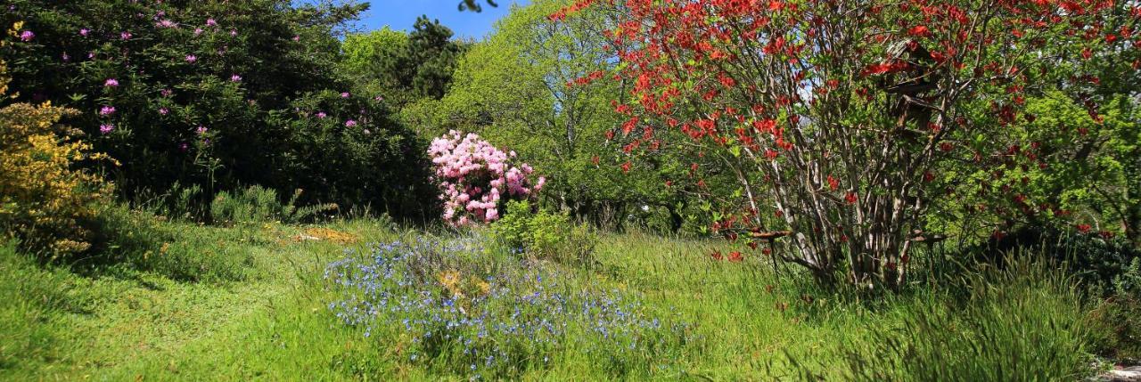 Aux Arbres Chanteurs Ploulech Exterior foto